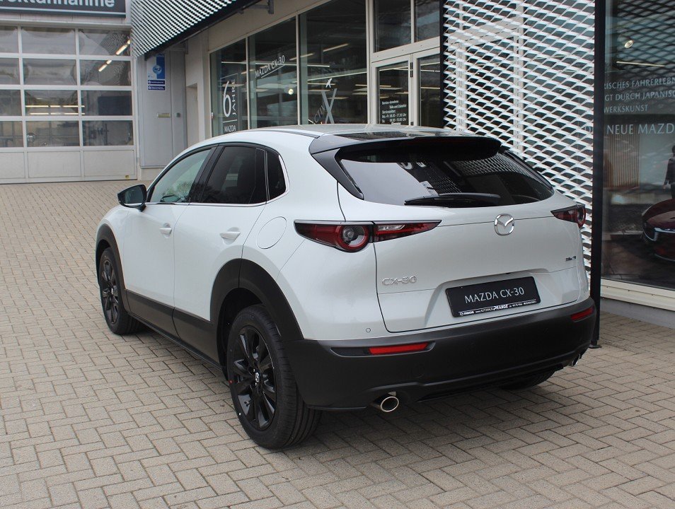 Fahrzeugabbildung Mazda CX-30 G-140 AT Homura *Sofort*Aktion* 18Zoll SHZ EPH LogIn
