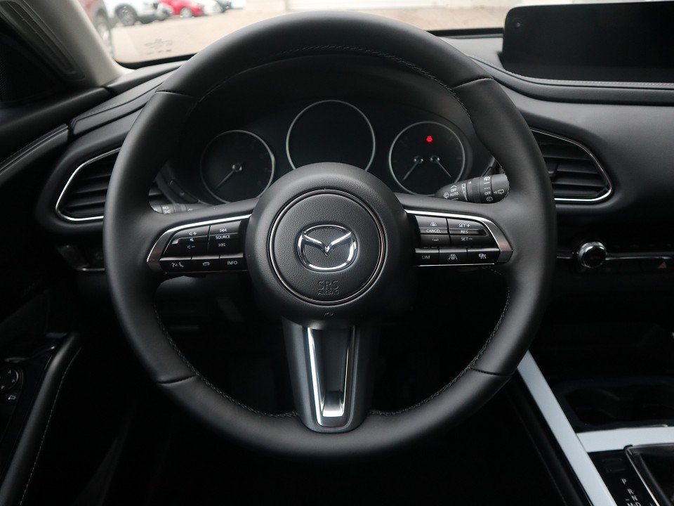 Fahrzeugabbildung Mazda CX-30 2027 G-140 AT Makoto 360° BOSE LHZ SHZ