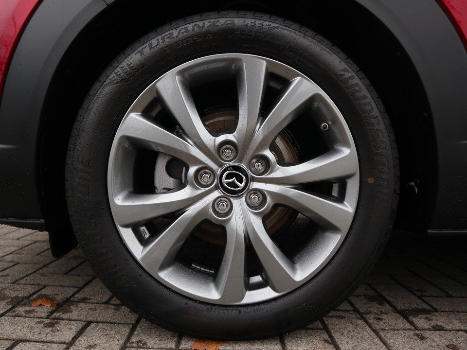 Fahrzeugabbildung Mazda CX-30 G-140 AT Exclusive-Line 360° MATRIX BOSE LHZ